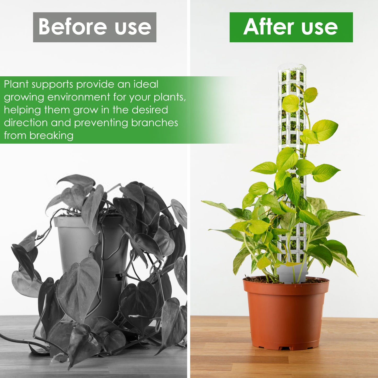 Tutor de Musgo para Planta 25cm