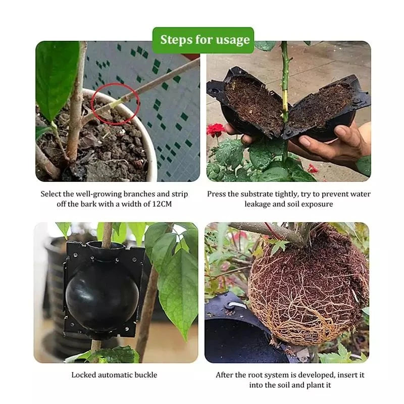Bola de Propagação Enraizamento p/ Plantas 5cm