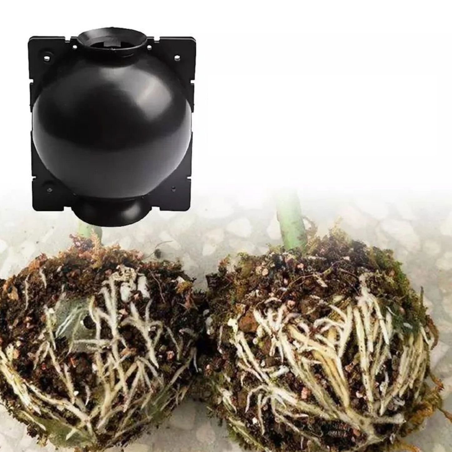 Bola de Propagação Enraizamento p/ Plantas 5cm