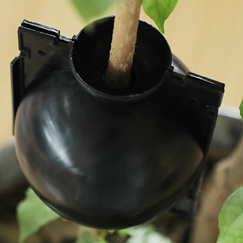 Bola de Propagação Enraizamento p/ Plantas 5cm
